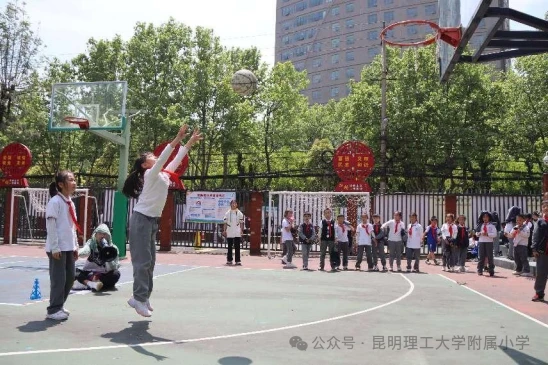 简短的篮球训练总结与反思作文_1